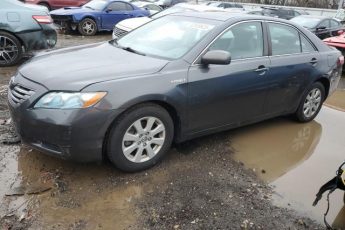 4T1BB46K69U084121 | 2009 Toyota camry hybrid