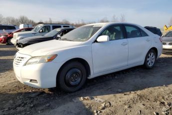 4T1BE46KX9U861231 | 2009 Toyota camry base