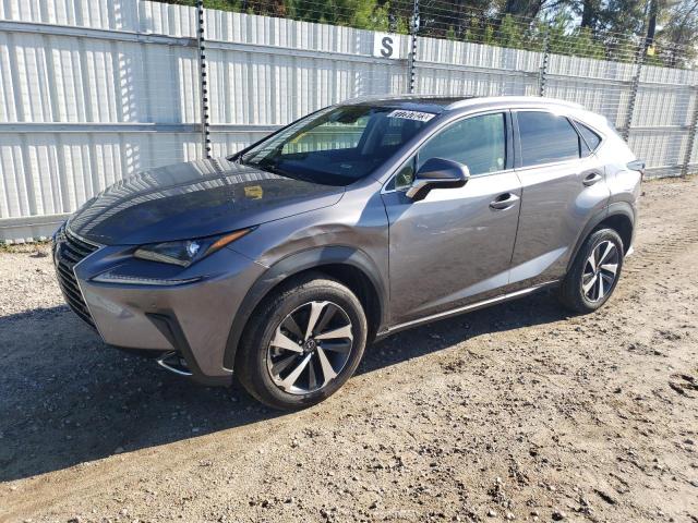 JTJGARDZ6M2241853 | 2021 Lexus nx 300 base