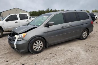 5FNRL38429B413107 | 2009 Honda odyssey ex