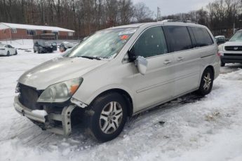 5FNRL38635B413919 | 2005 Honda odyssey exl