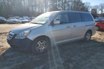 5FNRL38785B134183 | 2005 Honda odyssey exl