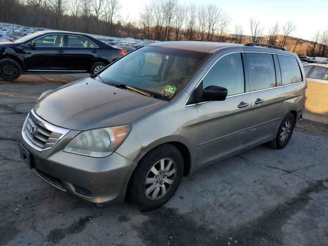 5FNRL3H43AB033858 | 2010 Honda odyssey ex