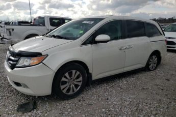 5FNRL5H60EB048238 | 2014 Honda odyssey exl