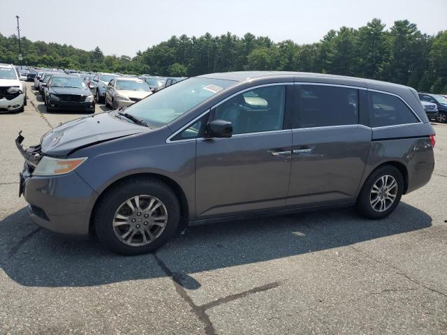 5FNRL5H62BB005919 | 2011 Honda odyssey exl