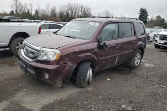 5FNYF4H45BB055256 | 2011 Honda pilot ex