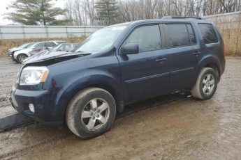 5FNYF4H63AB040061 | 2010 Honda pilot exl