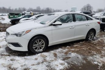 5NPE24AF6GH366620 | 2016 Hyundai sonata se