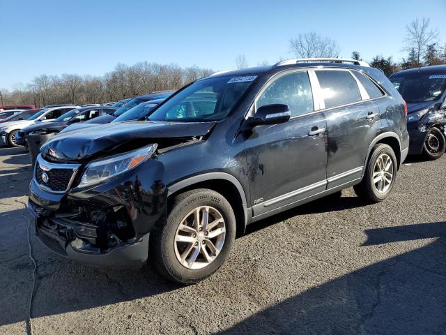 5XYKTDA65EG515927 | 2014 KIA sorento lx