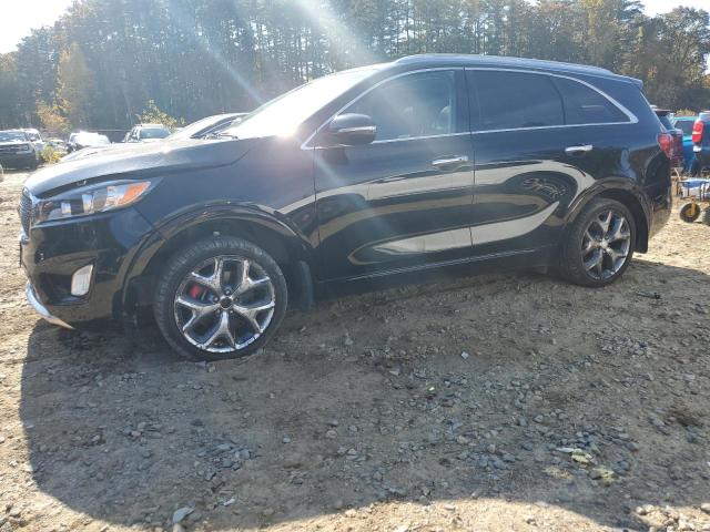 5XYPK4A51HG240304 | 2017 KIA sorento sx