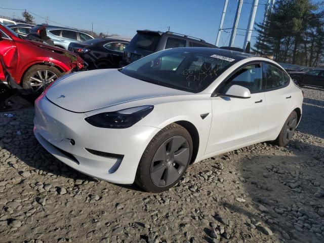 5YJ3E1EAXPF486236 | 2023 Tesla model 3