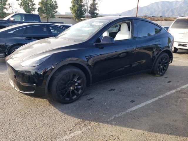 7SAYGDEE5PF876264 | 2023 Tesla model y