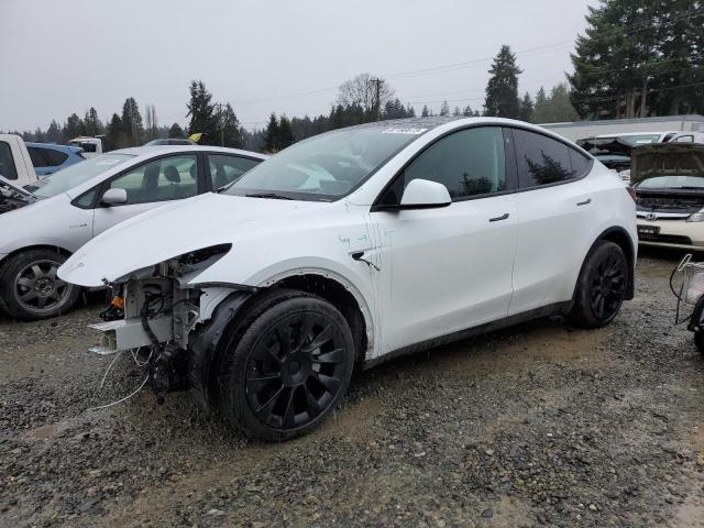 7SAYGDEEXPA117302 | 2023 Tesla model y