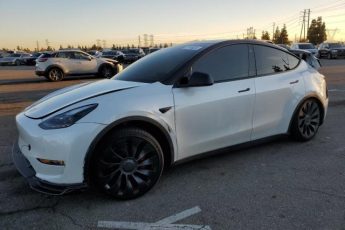 7SAYGDEFXPF753164 | 2023 Tesla model y