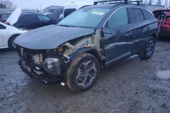 KM8JECA15PU134421 | 2023 HYUNDAI TUCSON LIM