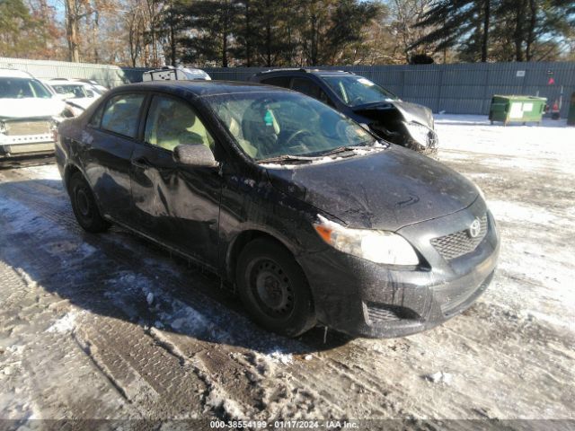 KMHDH4AE8GU483747 | 2010 Toyota corolla le