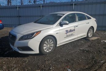 KMHE24L10GA009504 | 2016 Hyundai sonata hybrid