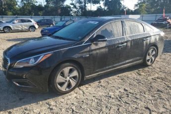 KMHE34L31HA067623 | 2017 Hyundai sonata hybrid