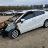 MAJ3S2GE0MC442338 | 2021 Ford ecosport se