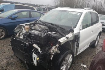 WVGBV7AX2FW589066 | 2015 VOLKSWAGEN TIGUAN S