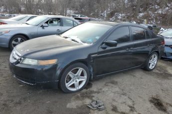 19UUA66266A041859 | 2006 Acura 3.2tl