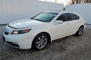 19UUA8F25DA010059 | 2013 Acura tl