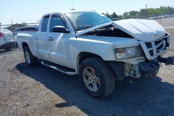 1D7CE3BK4AS143284 | 2010 DODGE DAKOTA