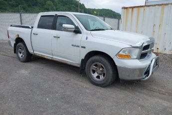 1D7RV1CT1AS182596 | 2010 DODGE RAM 1500