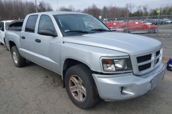 1D7RW3GK2BS614334 | 2011 RAM DAKOTA