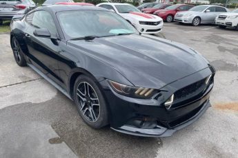 1FA6P8AM1G5259248 | 2016 Ford mustang