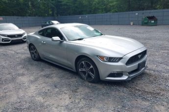 1FA6P8AM6G5296280 | 2016 FORD MUSTANG