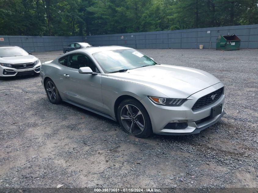 1FA6P8AM6G5296280 | 2016 FORD MUSTANG