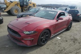 1FA6P8TH3K5203739 | 2019 Ford mustang