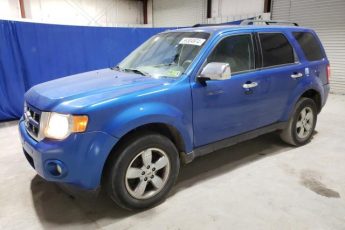 1FMCU0D79BKA16161 | 2011 Ford escape xlt