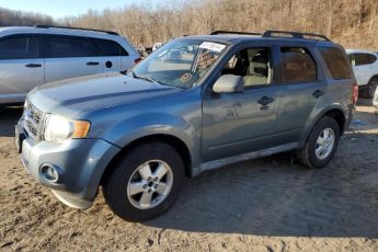 1FMCU0DG6AKB31430 | 2010 Ford escape xlt