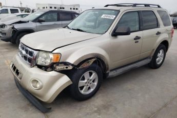 1FMCU0DG9AKC07710 | 2010 Ford escape xlt