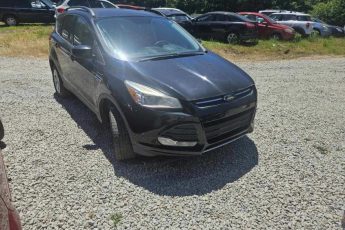 1FMCU9G98EUD59893 | 2014 FORD ESCAPE