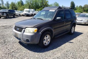 1FMYU93175KB02919 | 2005 Ford escape xlt