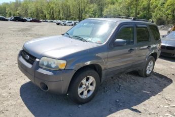 1FMYU93175KB32874 | 2005 Ford escape xlt