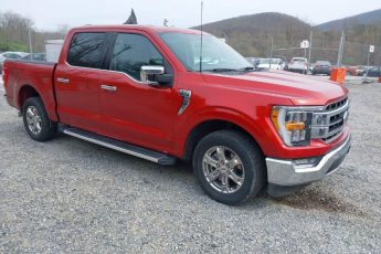 1FTEW1C56PKD35666 | 2023 FORD F-150