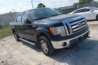 1FTEW1C8XAFA06396 | 2010 FORD F-150