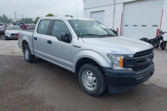 1FTEW1CB4KKD17732 | 2019 FORD F-150