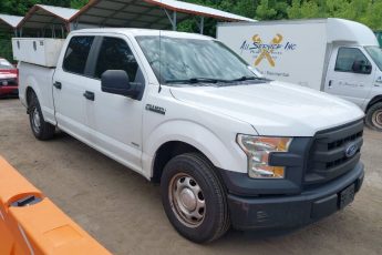 1FTEW1CP0GFB76203 | 2016 FORD F-150