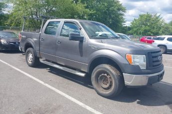 1FTEW1E80AFA40845 | 2010 FORD F-150