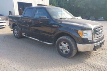 1FTEW1E81AKE81889 | 2010 FORD F-150