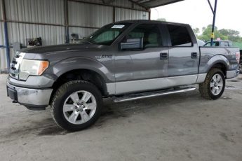 1FTEW1E85AKE14776 | 2010 Ford f150 supercrew