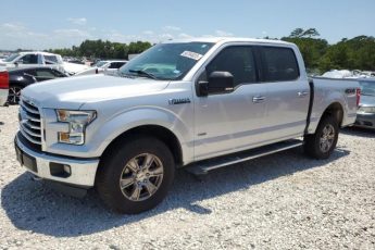 1FTEW1EP5FKE02884 | 2015 FORD F150 SUPER