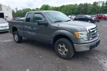 1FTEX1E80AFB36715 | 2010 FORD F-150