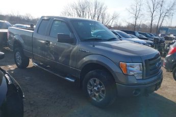 1FTEX1E83AFA92984 | 2010 FORD F-150