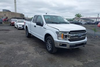 1FTEX1EP8LKF53596 | 2020 FORD F-150